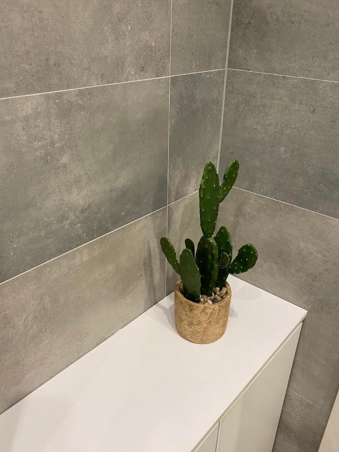 Apartament Foresta カルパッチ エクステリア 写真